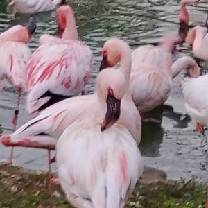 Meet your Posher, Delphine